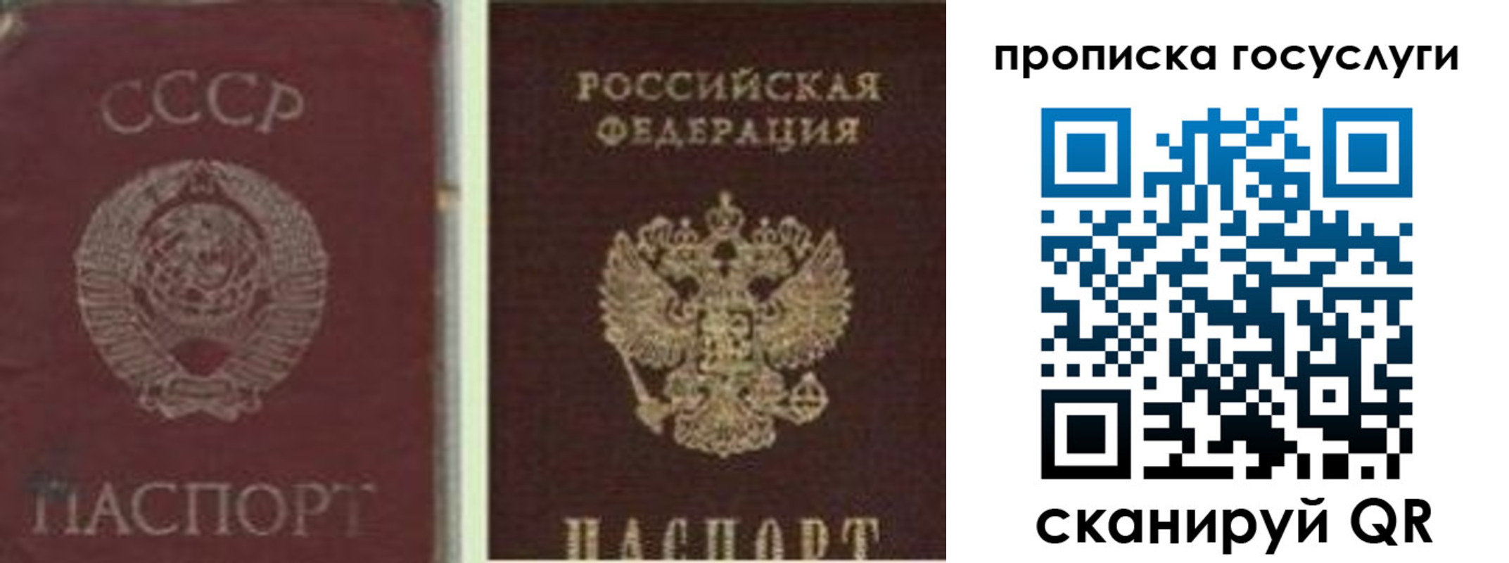 временная регистрация 2025 в Бологом